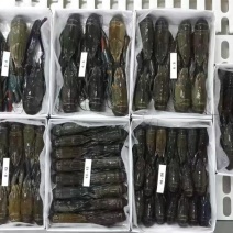 澳洲龙虾，老虎虾批发
