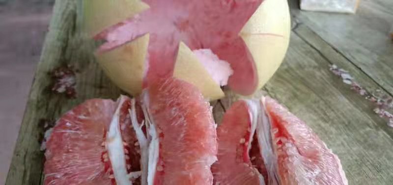 三红柚果肉特写