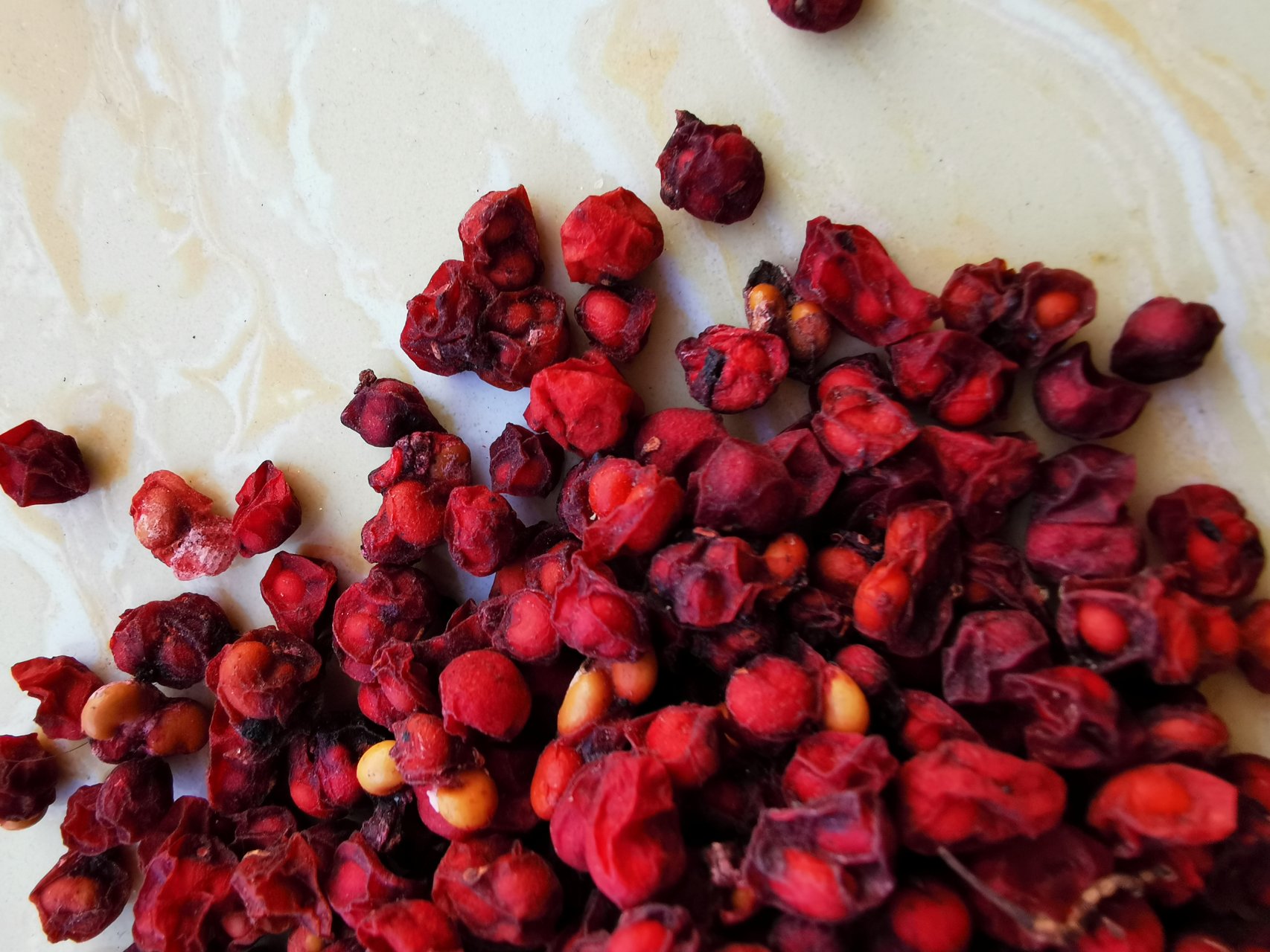 北五味子果实与醋制五味子对比图