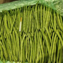 小金豆