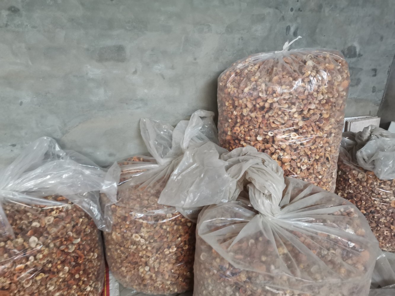一张展示桌上陈列多种姬松茸产品:左侧为新鲜姬松茸整菇,中间为透明包装的干燥切片,右侧为印有中文和日文标签的礼盒装冻干姬松茸,背景摆放含有姬松茸成分的保健胶囊和粉末制剂,整体风格简洁高端 姬松茸系列产品展示图
