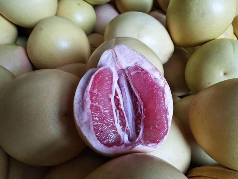 琯溪蜜柚果肉特写