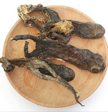 药用蟾蜍道地药材质优价实品质保证药典标准一公斤起