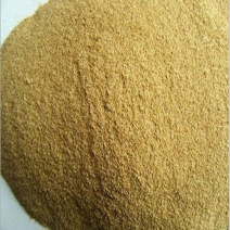 厂家现货供应大米油糠鱼家禽饲料米糠富含蛋白质油脂油糠