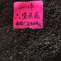 梧州六堡茶2013年六堡茶花