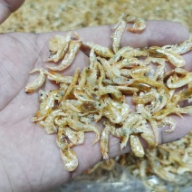 麦秆虾皮，烘干虾皮，虾皮