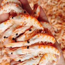 南极磷虾干