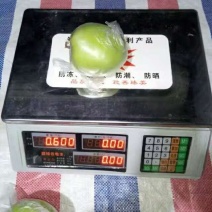 台湾大青枣嫁接苗，第二年挂果，产量高，果子脆甜