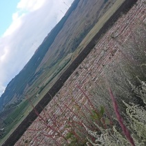 山地