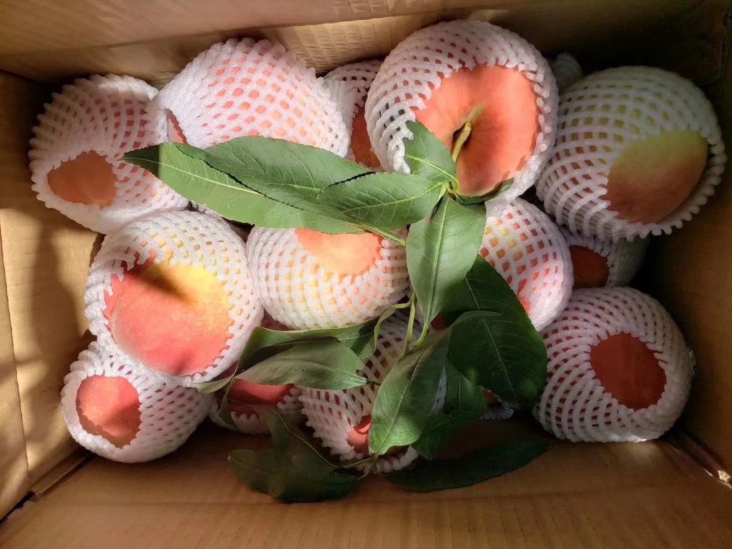 寿桃特写照片