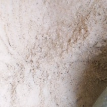 米糠