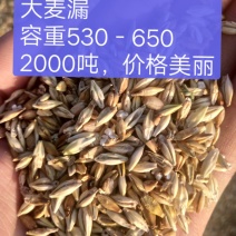 大麦