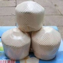 椰子