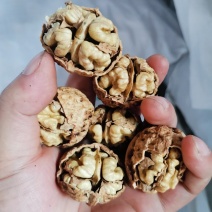 25年新货一手货源质量保证包退薄皮麻子核桃放心购买