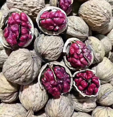 核桃红衣核桃又称血核桃件10斤