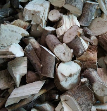 蓖麻根,产地直供,质优价实,品质保证,药典标准道地良药