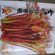 金盛达红油香椿种子香椿头营养含糖丰富
