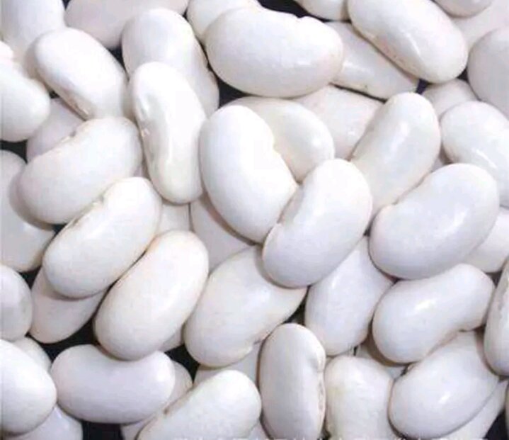 白不老营养成分表,展示其蛋白质、膳食纤维、维生素等营养构成 白不老营养成分表