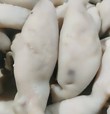 羊蛋皮精选羊宝皮育肥羊