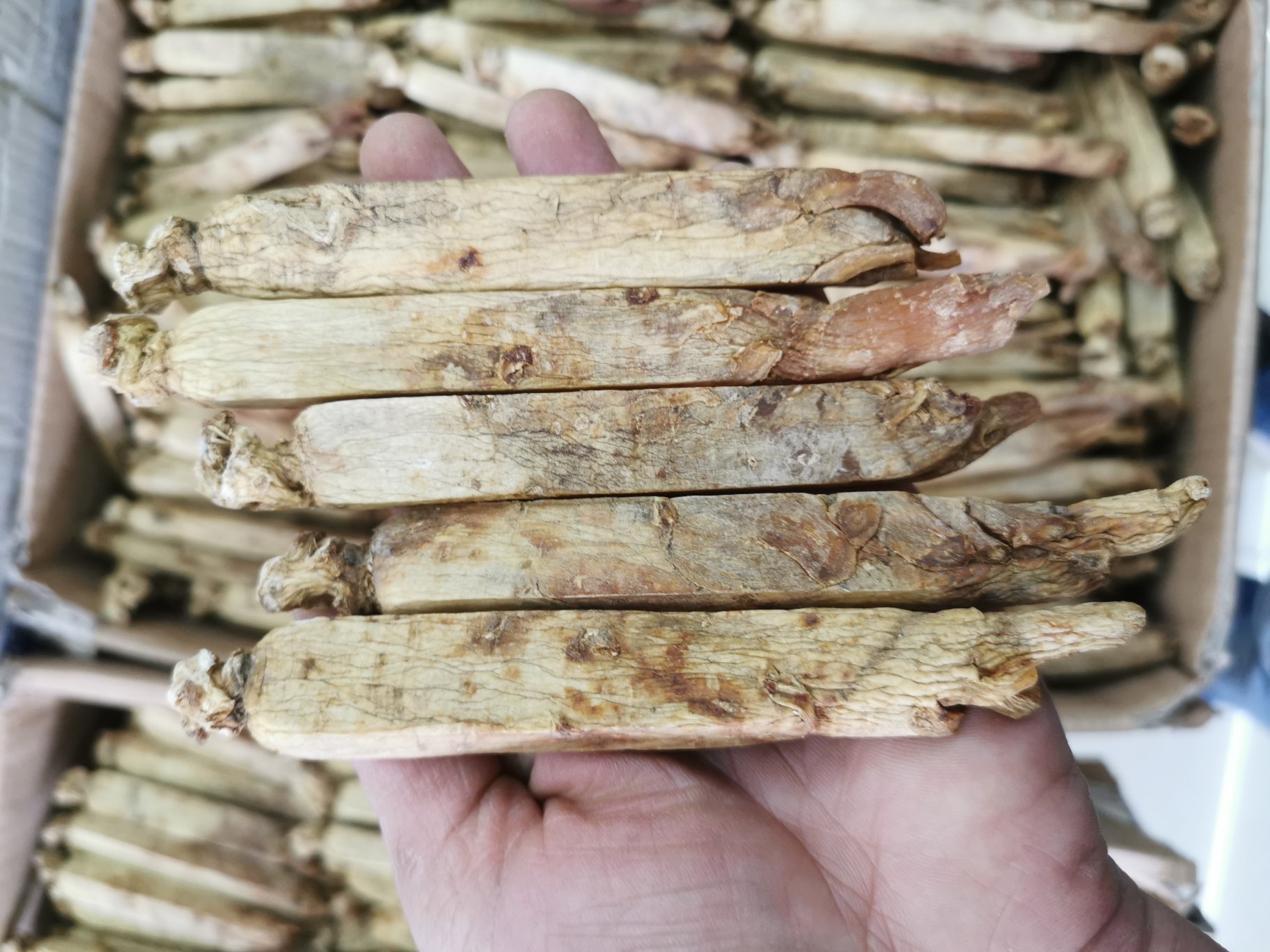 高丽参加工与保存方式