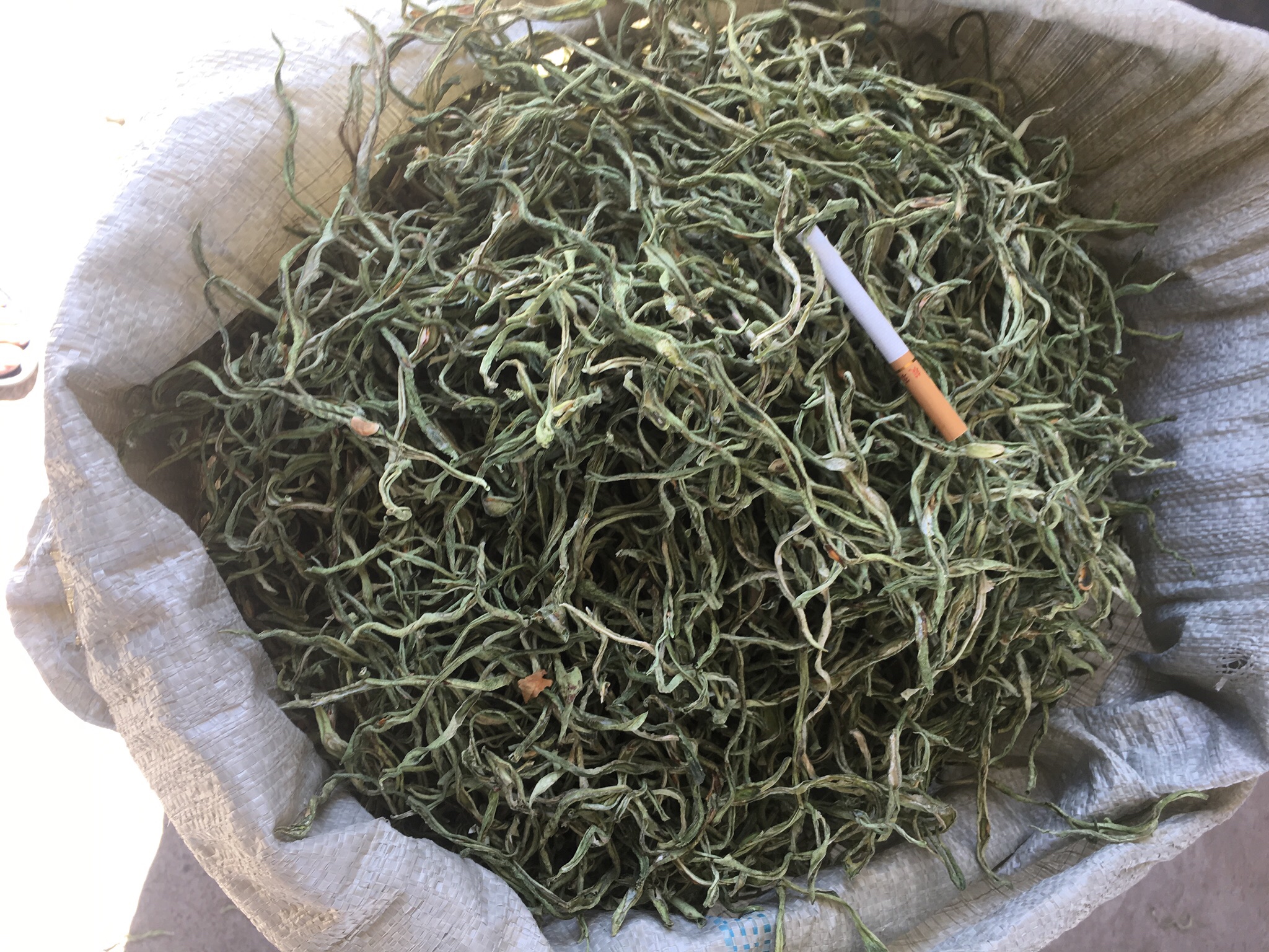 豆角品种对比图
