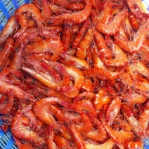 越南野生黑虎虾