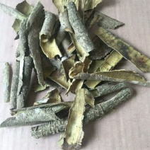 白银树皮产地直供支持线上交易可搭配多品种采购大货联系