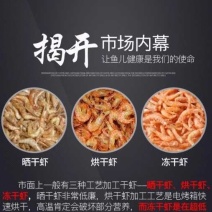 南极磷虾