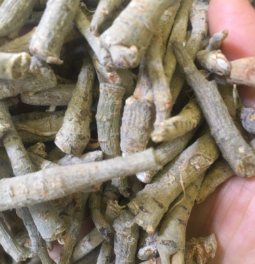 [三七批发]三七根三七主根4年老根正宗云南文山三七根价格65.00元/斤 