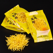 【菊花茶】2020新花金丝皇菊产地直销保质保量量大价优