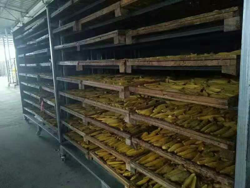 云南红河哈尼族彝族自治州山区,一位身着靛蓝土布上衣的老年农民站在斜坡晾晒场上,双手捧起一把弯曲有光泽的深紫色紫薯干,面带朴实笑容;身后是层层叠叠铺满紫薯片的竹席,延伸至远处梯田边缘,天空澄澈,光影分明,真实呈现‘人、地、光、薯’共生的传统晒制生态 一位老农手持刚晒好的紫薯干面向镜头微笑,背景为连片坡地晾晒场