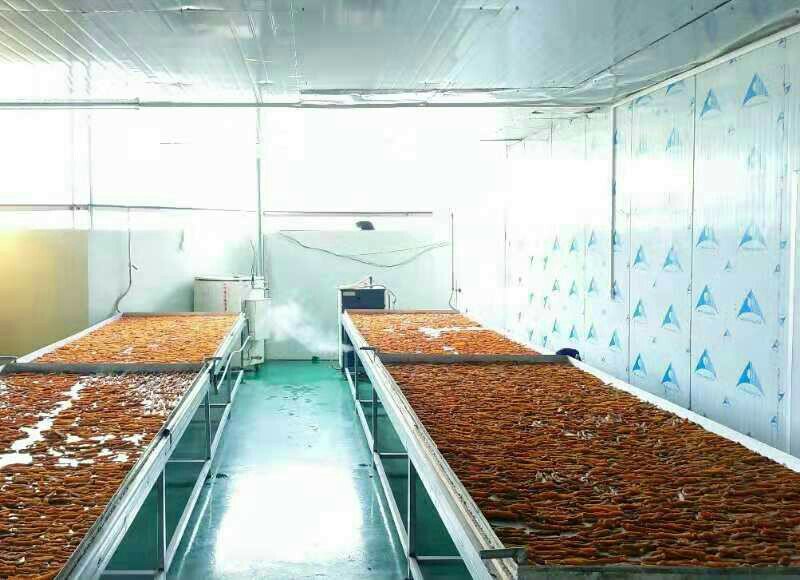 现代化紫薯加工厂内景