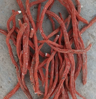 [丹参批发]收购鲜丹参价格2.00元/公斤 - 一亩田