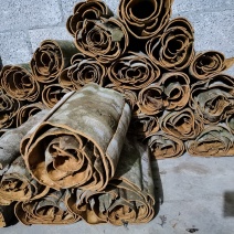 一级桂皮