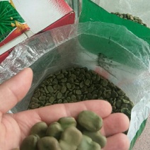 精选早熟蚕豆种子营养价值高地栽蔬菜种子秋季种植