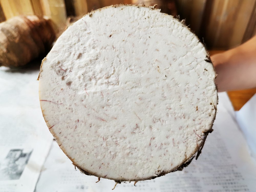 荔浦芋头切面图