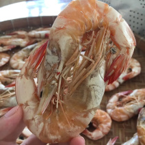 大白虾干