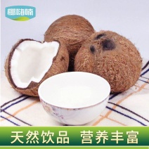 椰子海南毛椰9个装包邮，厂家供应天天发货