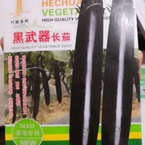 紫黑长茄种子耐热耐旱黑武士长茄茄子种子