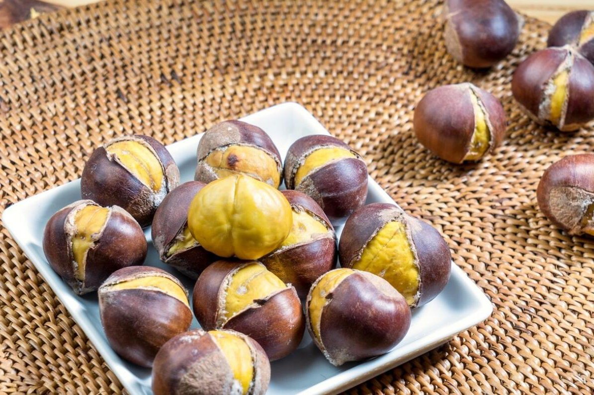 一张木制餐盘中摆放着多种油栗美食:整颗糖炒油栗、切开的栗仁、栗子泥、栗子炖鸡的小碗、以及一块迷你栗子蛋糕,背景虚化的秋日庭院增添温馨氛围,展现油栗的多元食用方式 油栗料理拼盘