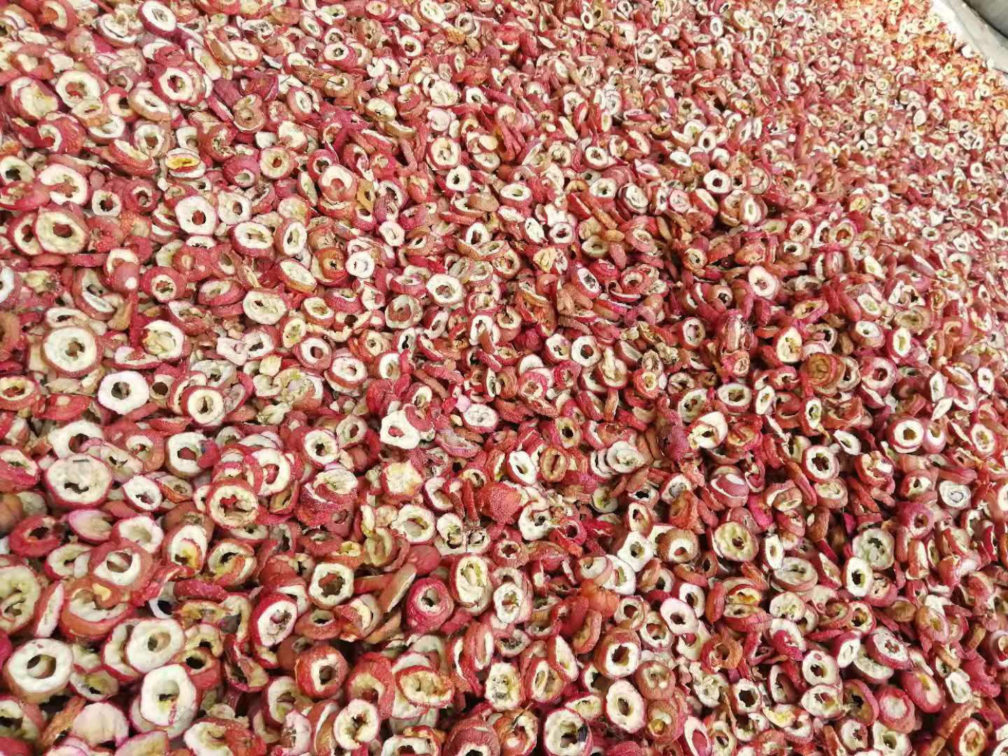 图片说明:展示山楂片、干菊花和陈皮的组合,清晰可见三者形态与颜色 山楂菊花陈皮茶的食材组合图