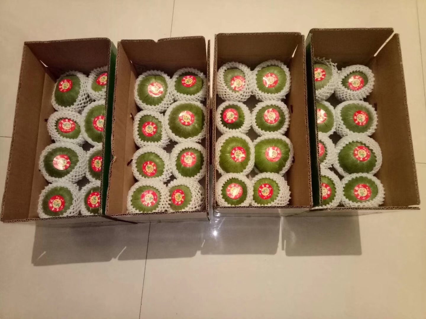 甜瓜采收与分级包装现场