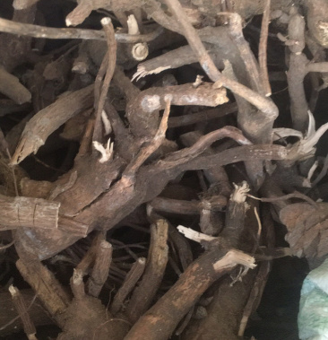 [走马胎批发]走马胎根价格50.00元/斤 - 一亩田