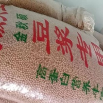 豆制品