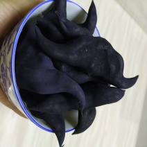 菱角家菱老菱角，又糯又甜，快来订购香糯甜
