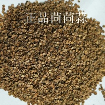 茴茴蒜回回蒜产地直供支持线上交易可搭配多品种采购
