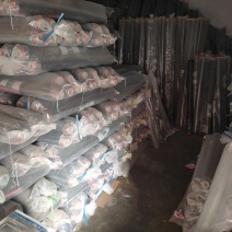 黑地膜除草保湿农用蔬菜果树草莓加厚膜厂家直销
