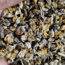 野菊花，高含量，干货，鲜货都有