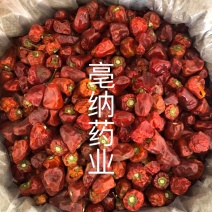 灯笼椒中辣特香灯笼椒贵州特产干辣椒海椒一公斤起批