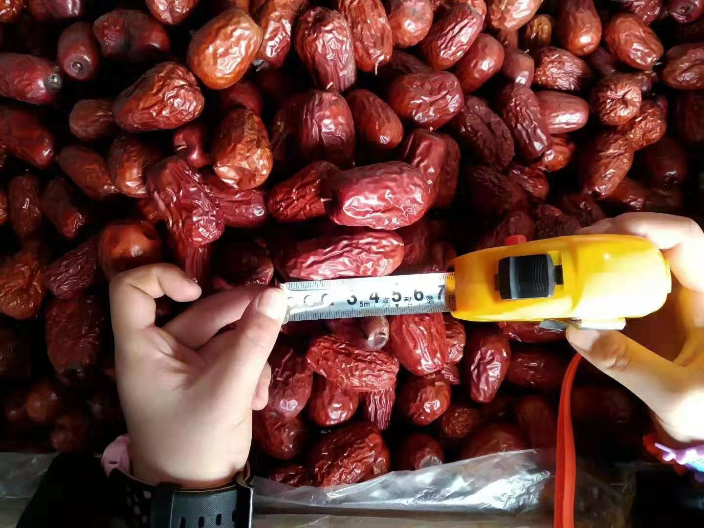 实验室场景：科研人员手持数显游标卡尺测量一枚脆枣横截面空腔直径，背景为电子天平、水分测定仪及一排标有编号的脆枣样品瓶